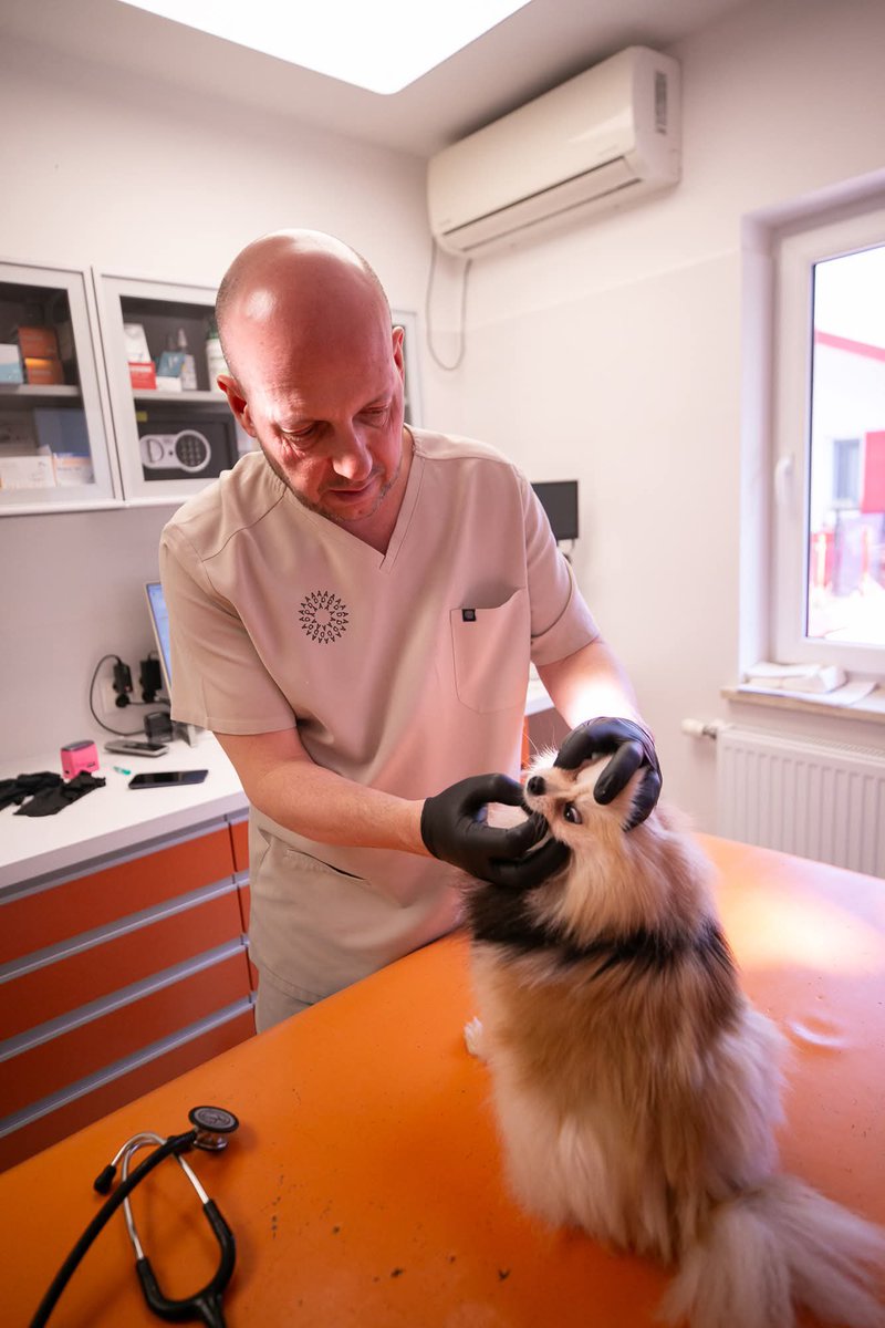 Fundacja ADA tweet media