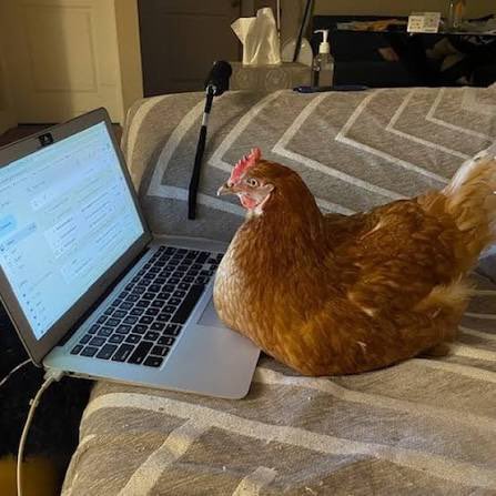 макан 🅴 tweet media