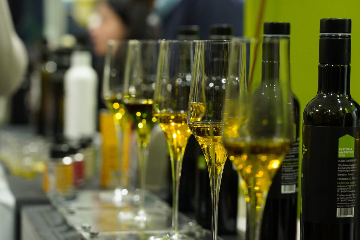 Discover Trieste tweet media