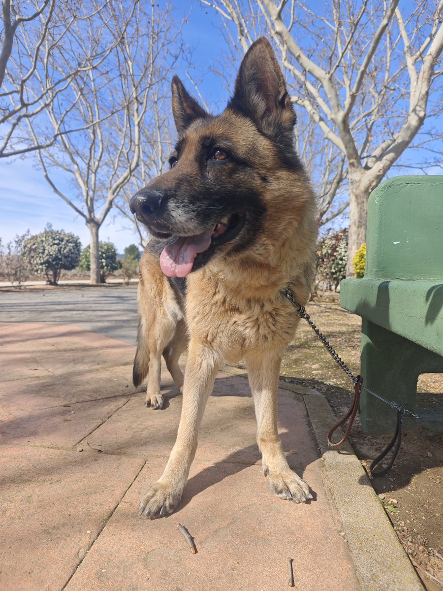 Un paseito con este solecito es gloria bendita