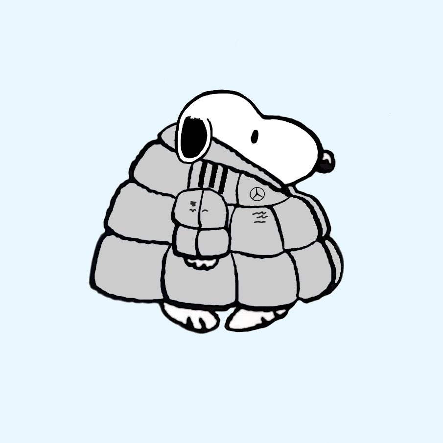 63borussia's tweet photo. #russnoopy in the space jacket https://t.co/B2wLCpDnZq
