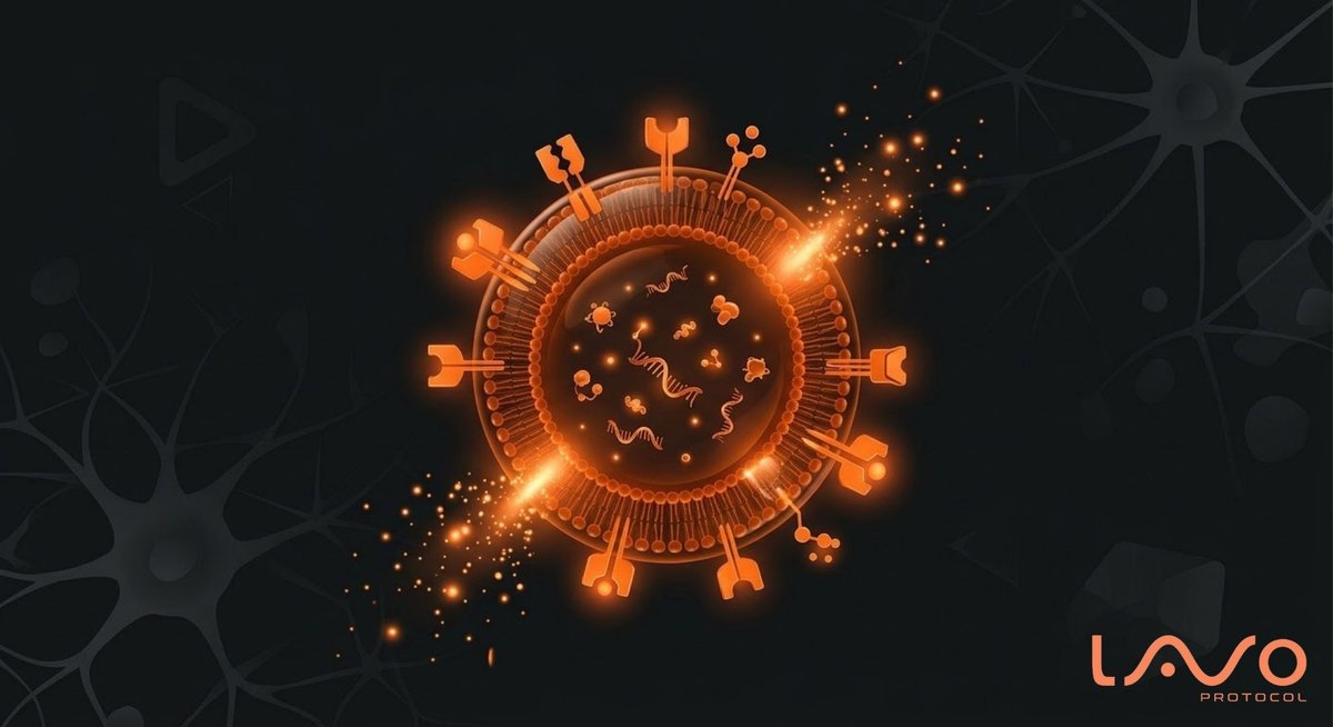 Lavo Protocol tweet media