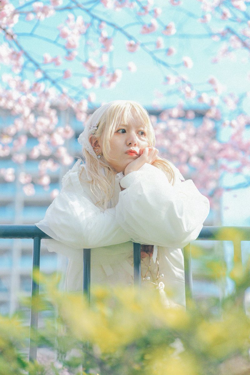 satoppl's tweet photo. 春ですね

📷@kamiaki_108 https://t.co/tpGsnJ8QDk