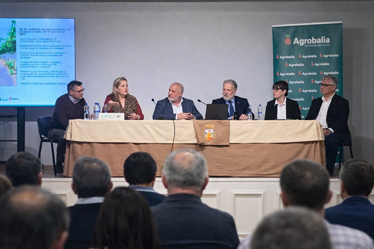 Lucentumconsumo's tweet photo. JORNADA TÉCNICA DOP UVA DEL VINALOPÓ 
Más información👇
https://t.co/lTjI1itMb7 https://t.co/WDK0vpqIxi