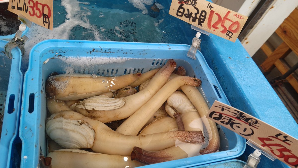 T之助@「°M💖Night」(Triglav) tweet media