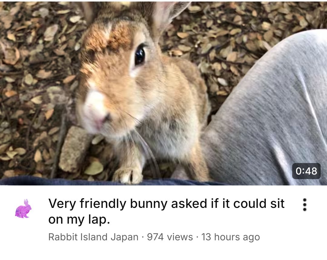 AngelBnuy_'s tweet photo. this is me asking to sit in my wife's lap https://t.co/RgBmLKlXej