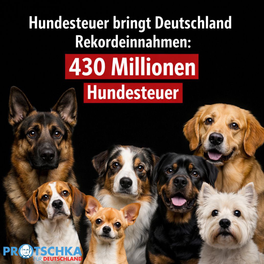 Stephan Protschka MdB tweet media