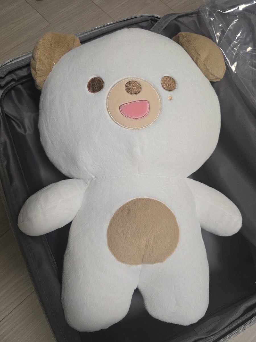 드디어 자쁘멀 돈이🐶
ㅠㅠㅠㅠㅠㅠㅠㅠㅠㅠㅠㅠㅠ
20인치 캐리어에 딱 들어감 생각보다 작은데? 
🐻아무래도 아직 아가라 그런가