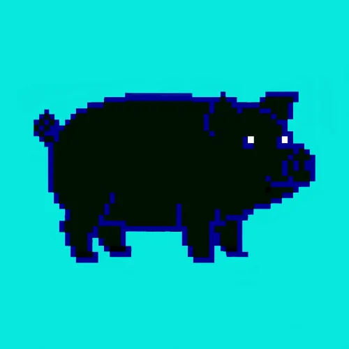 fidel Φ tweet media