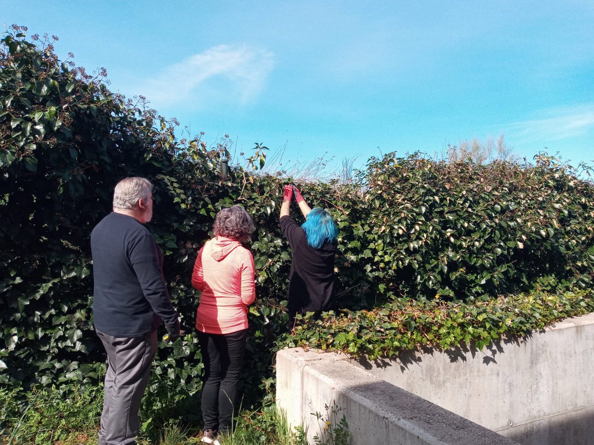 CENTRO EL CAMPILLO tweet media