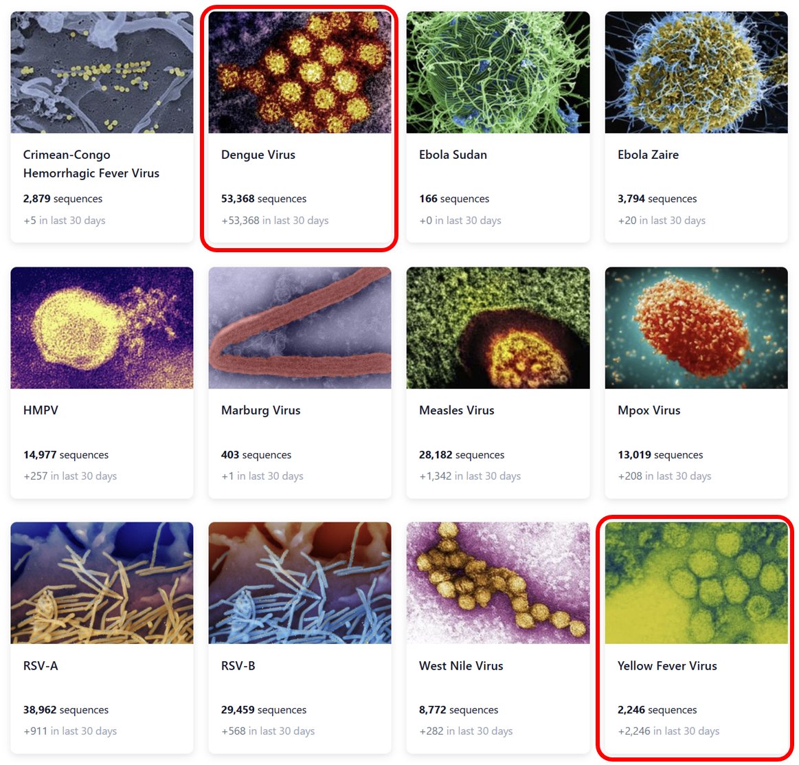 Pathoplexus tweet media