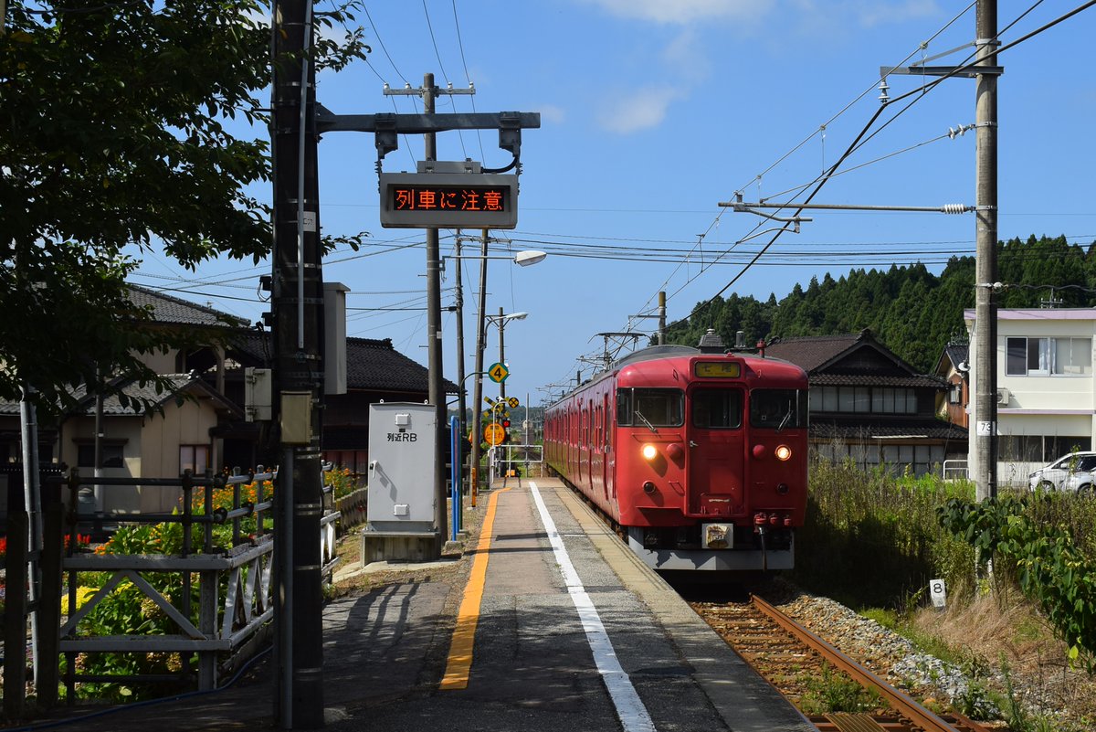 湘南あずき tweet media