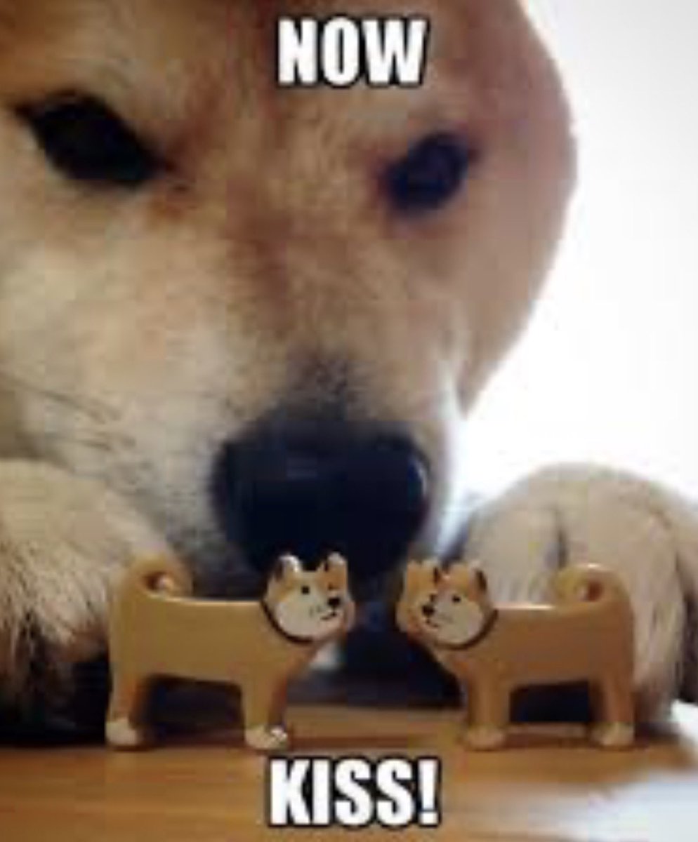 JustVisiting tweet media