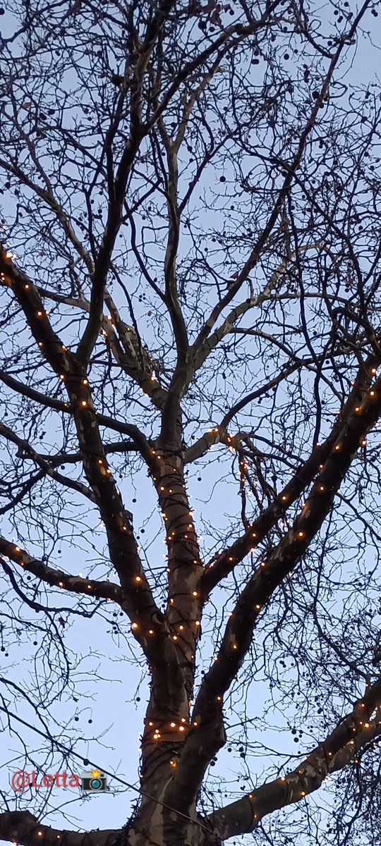 Letta_vi64's tweet image. #LookUp.. from december 2025 😉

📸.