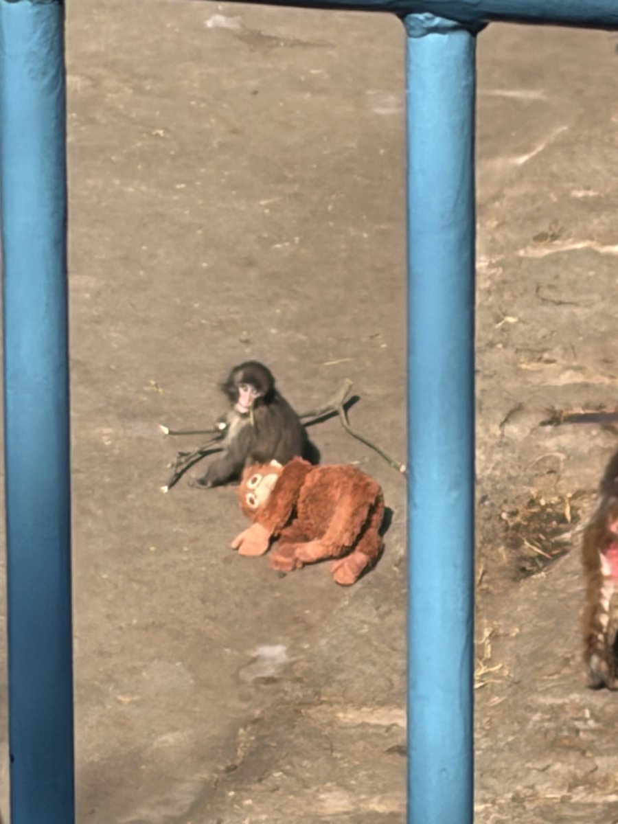 Maggie Rhoads tweet media