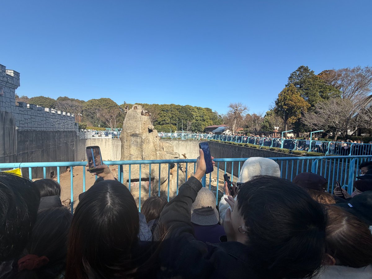 Maggie Rhoads tweet media