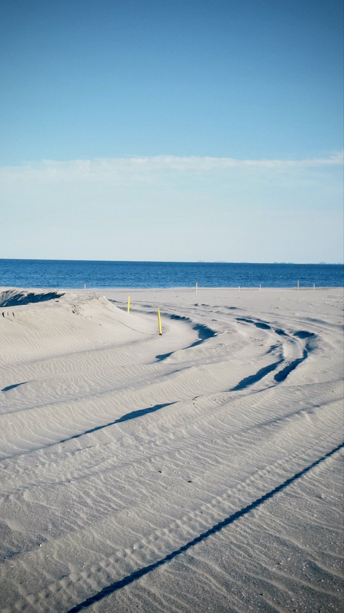 SetagayaRacing's tweet photo. 🏖️📷 https://t.co/8i9uOcEWQB