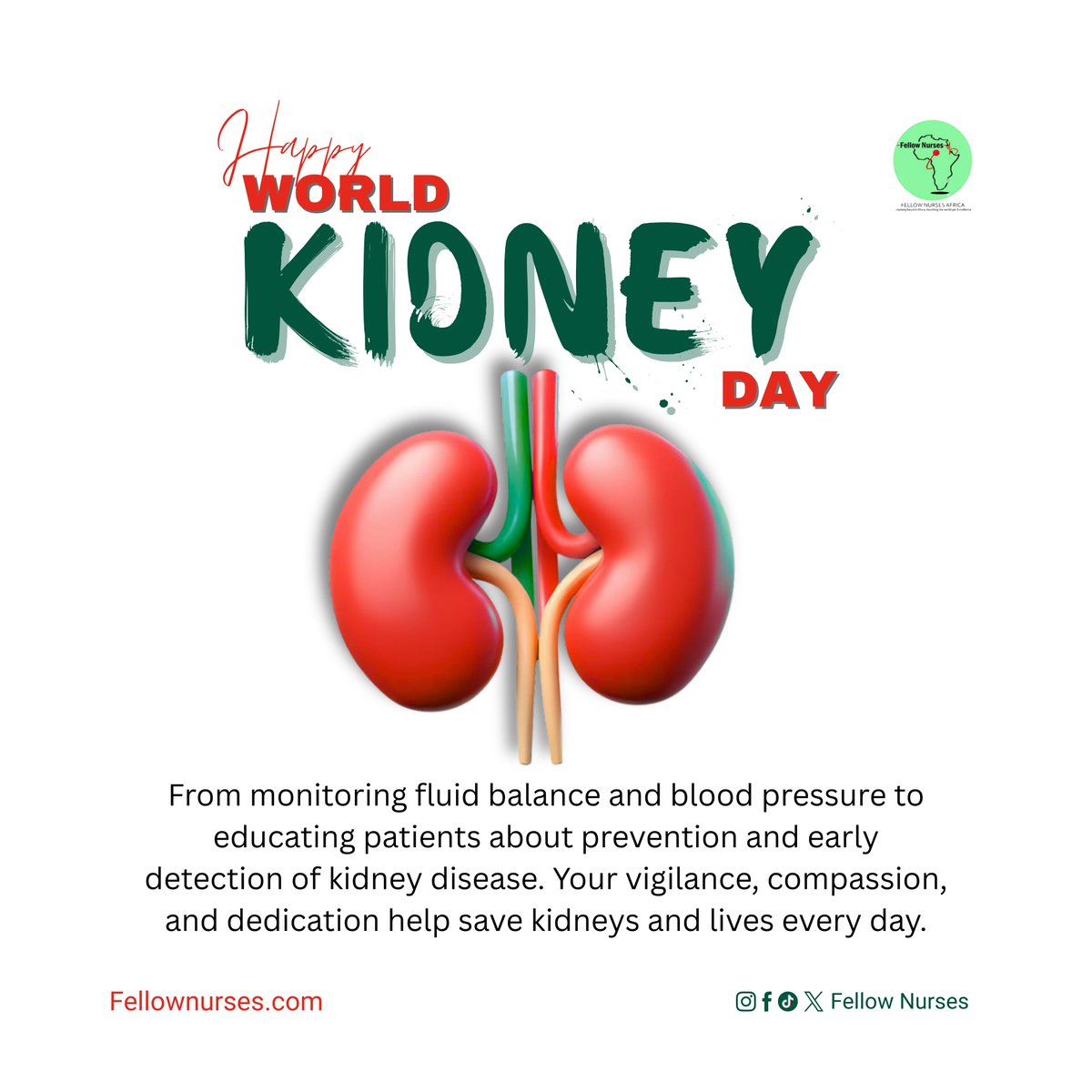 FellowNurses1's tweet image. Happy World Kidney Day to all nurses! 🩺💙

Tag a nurse who needs to see this and celebrate their incredible work in keeping kidneys healthy! 🌍🩺💧

#kidneyhealth #kidneyday2026 #WorldKidneyDay #nurses #kidney
