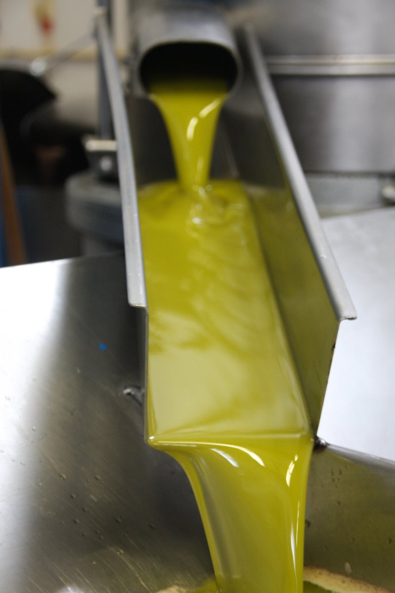 ASAJA CORDOBA tweet media