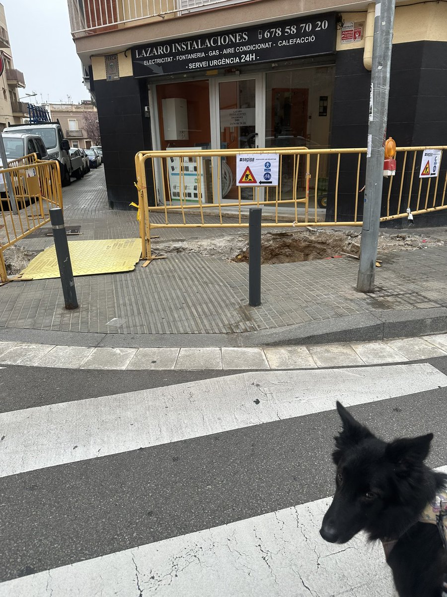 El Infoanonimo tweet media