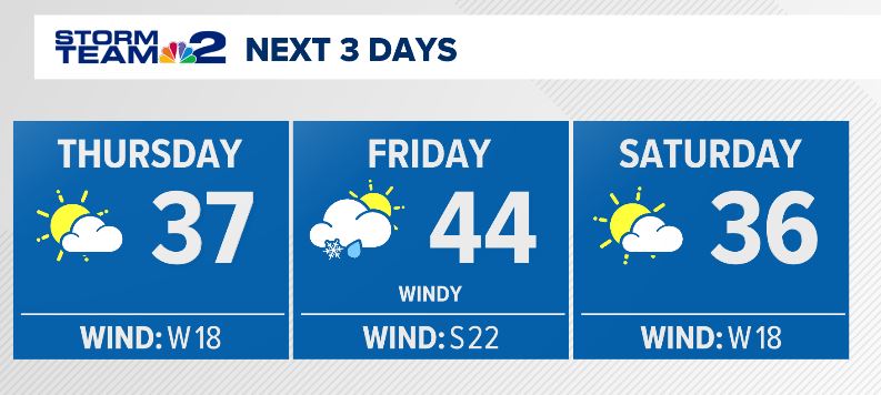 Patrick Hammer tweet media