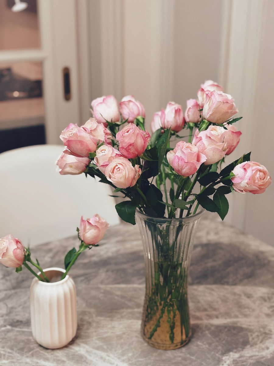 jirnct's tweet photo. Catherine‘s Rose https://t.co/5LRByn0FFP