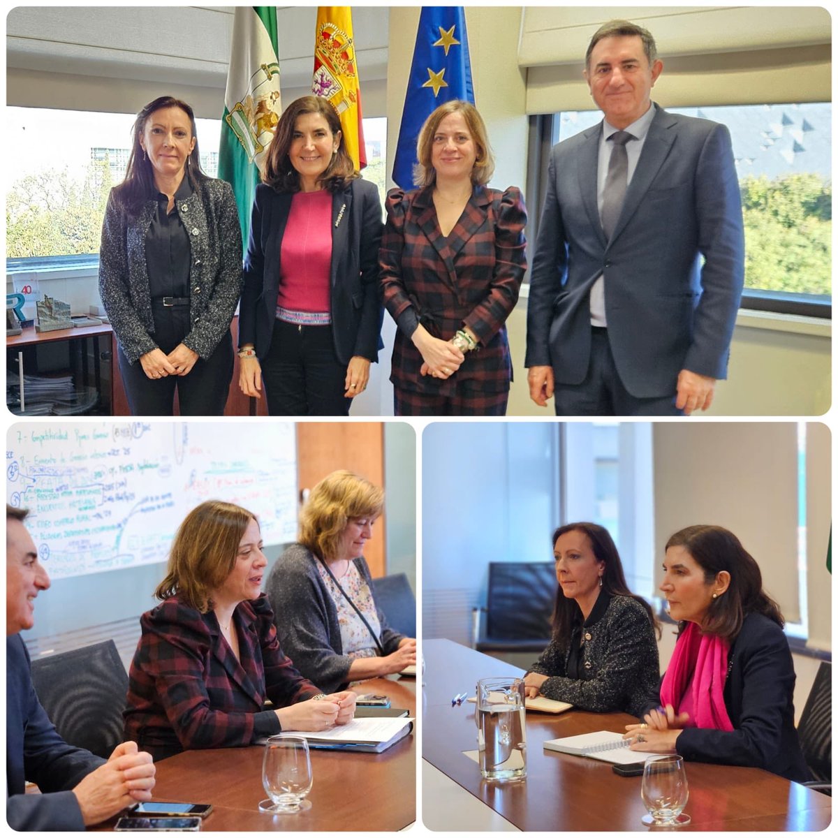 Amparo López Senovilla tweet media