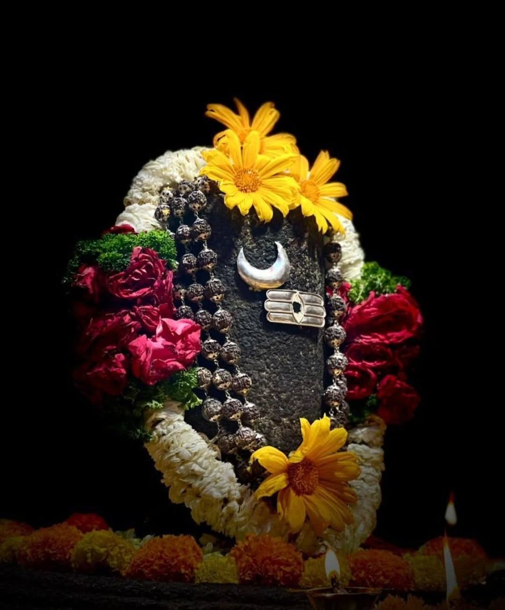 💕AरुNA (राजगोर ब्राह्मण) हिन्दू 💕 🇮🇳 tweet media