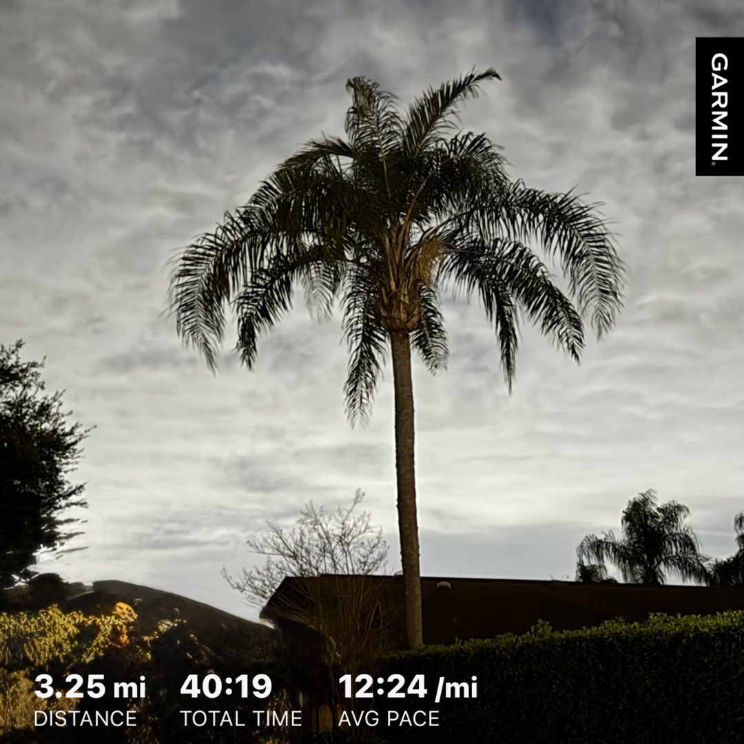 JohnBostonRowe's tweet image. Another good, albeit sticky morning for some slow miles… 

#FloridaRunner #DailyRunner #RunBeforeTheSun #KeepMoving

#RunningStreak: 2261 days