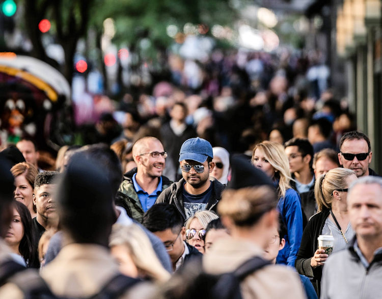 Network Norfolk tweet media