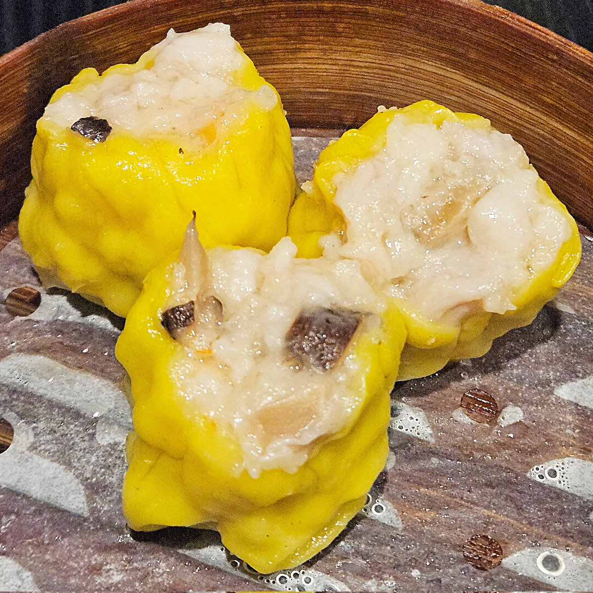 새차미 tweet media