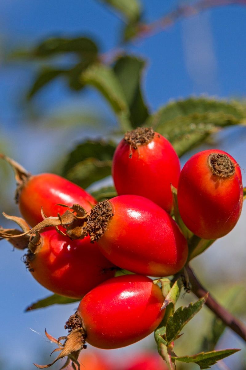 Farving🙆⭐️ tweet media