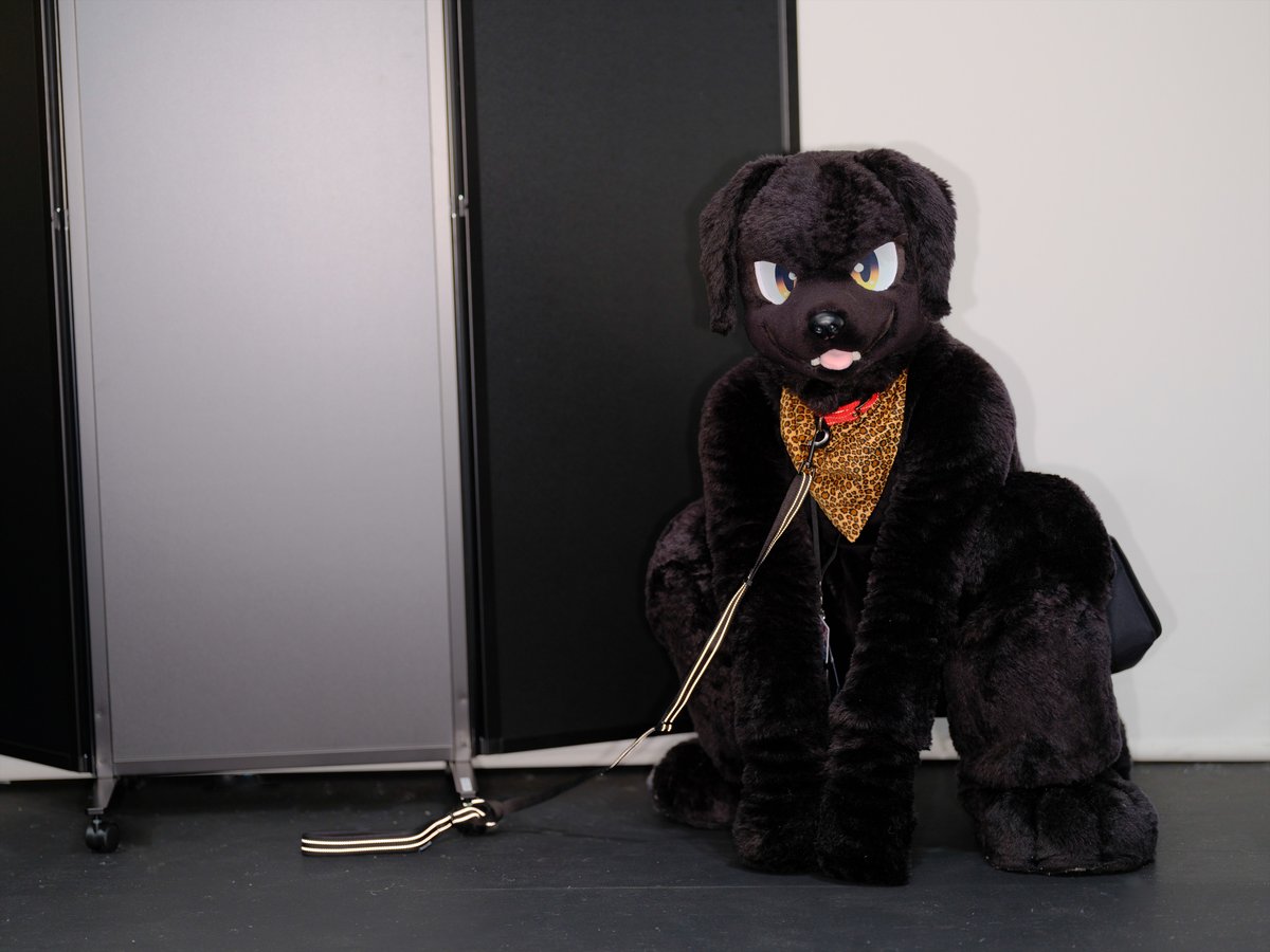 黒ラブのらぶ tweet media