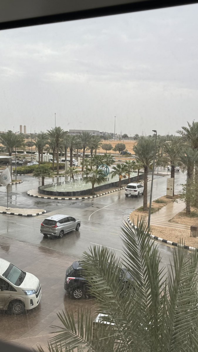 Nourah_Almosllm tweet media