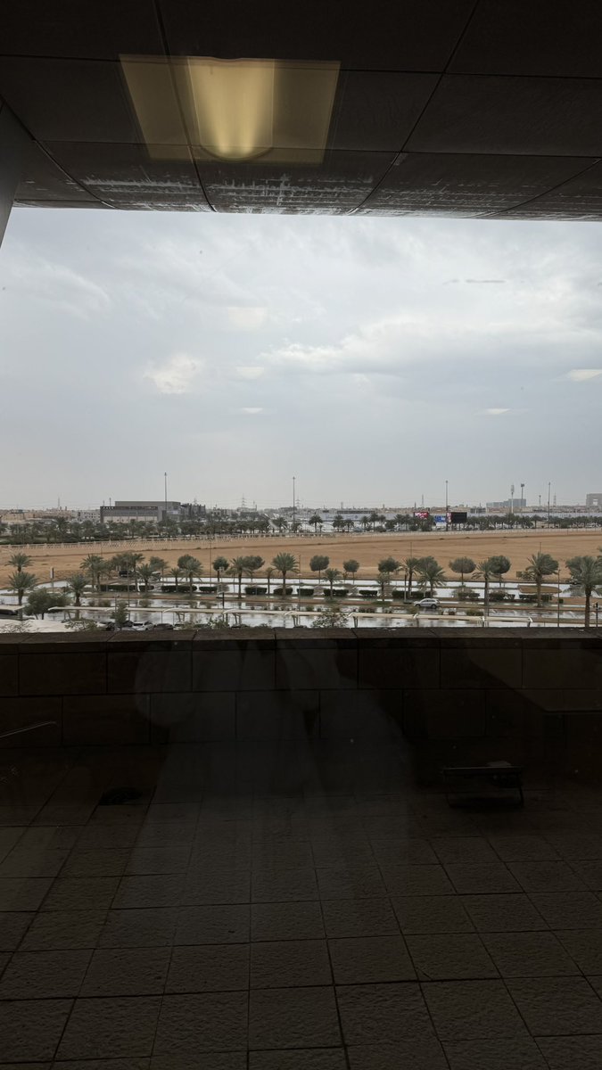 Nourah_Almosllm tweet media