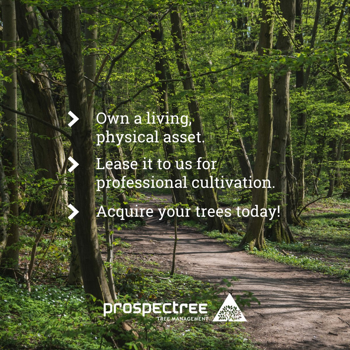 🌳 Own trees with ProspecTree and Lease them for professional cultivation.

Why limit yourself to abstract digital concepts when you can own a living, physical asset? You acquire your trees through a structured, documented framework, each with a unique Tree ID.

Here is how the