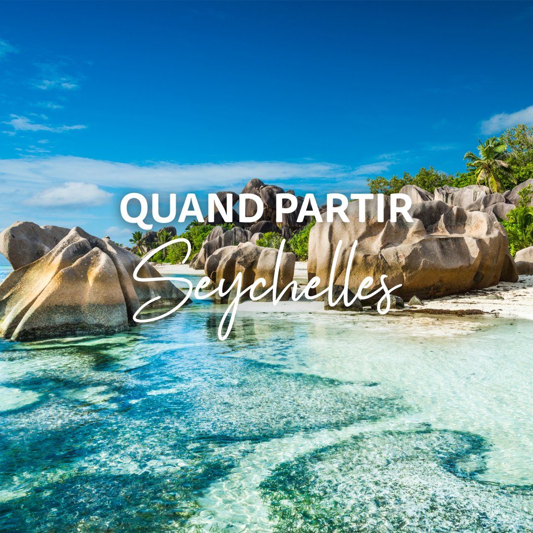 Selectour tweet media