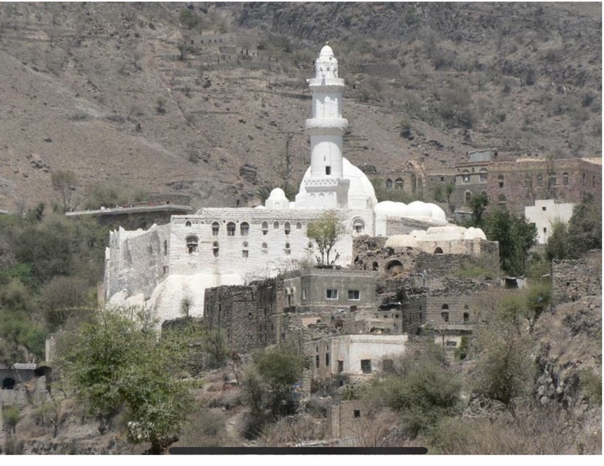 Ali Al Muqri علي المقري tweet media