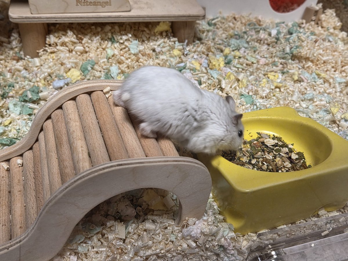 조지와 에드 tweet media