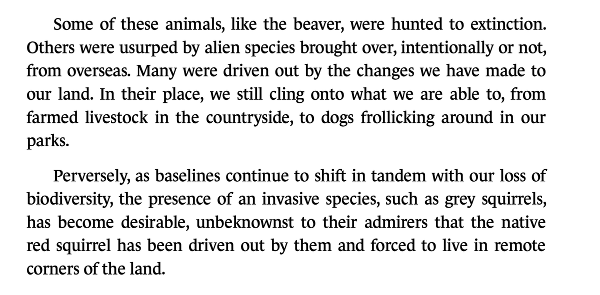 Kitty Thompson🐿 tweet media