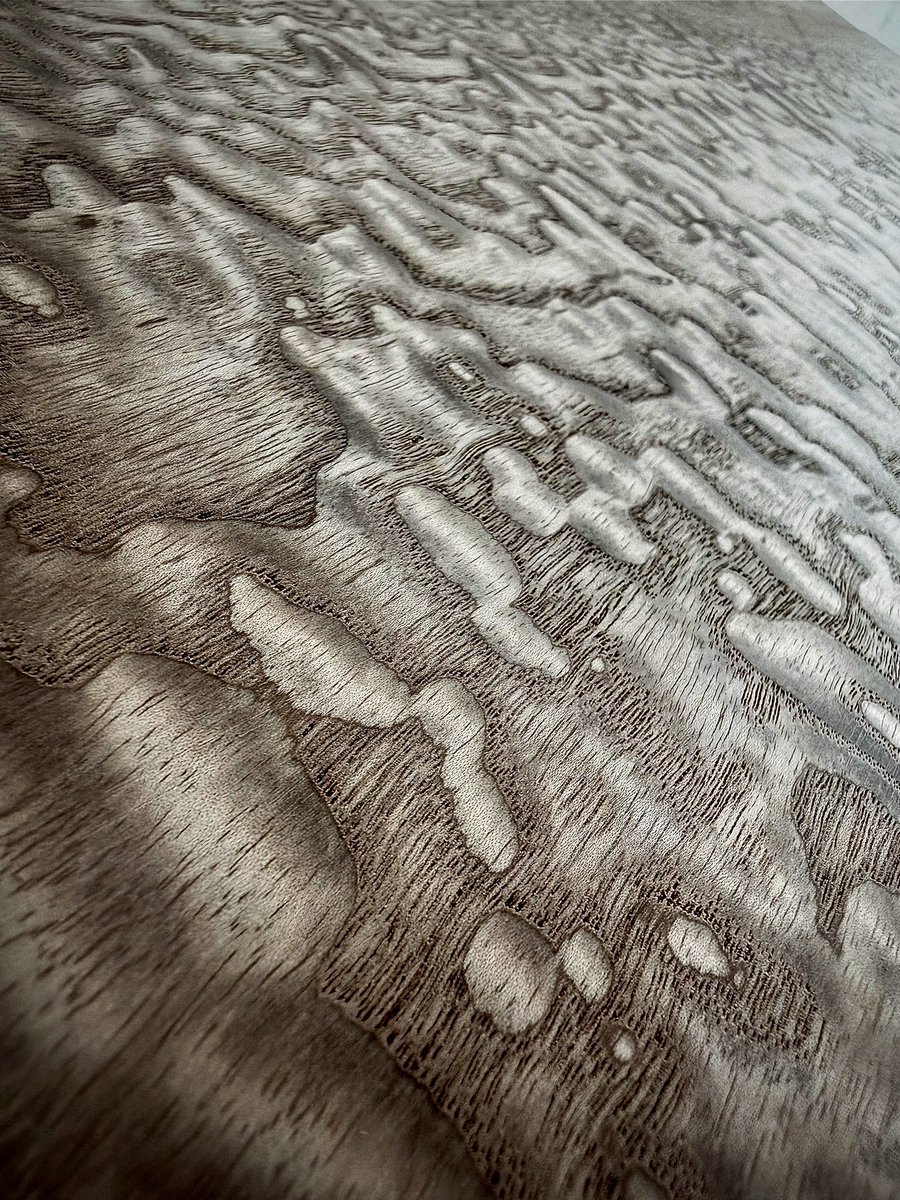 すごいタモが入りました。