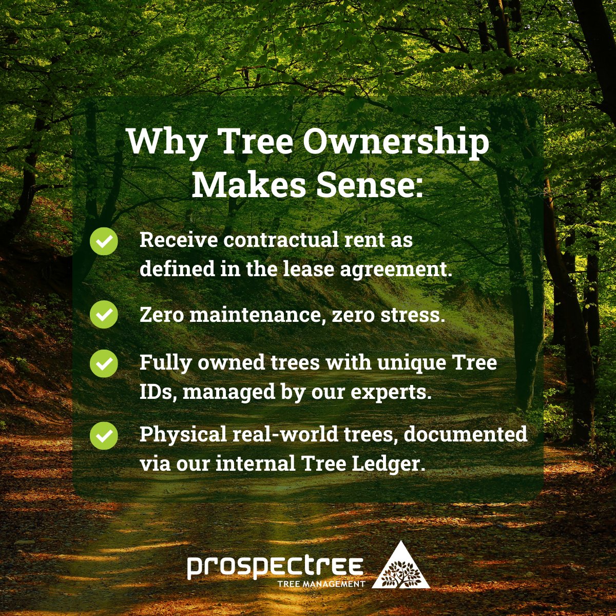 🌳 Think you need to buy land to own trees? Think again.

Historically, owning agricultural assets meant buying land, purchasing heavy equipment, and spending years learning forestry. ProspecTree changes that.

Through us, tree ownership is now accessible without the operational