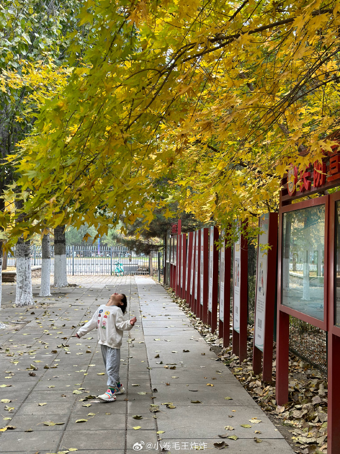 oretnak. tweet media