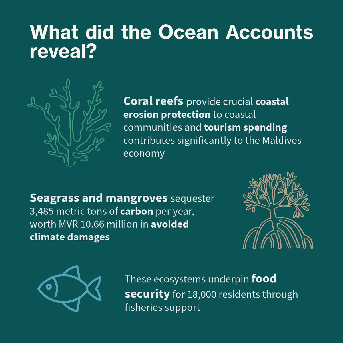 Global Ocean Accounts Partnership (GOAP) tweet media