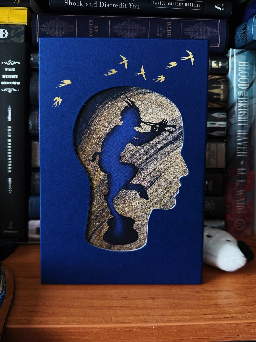 sullenpoetry's tweet image. one day one pretty book from my collection: Piranesi by Susanna Clarke (the folio society edition)