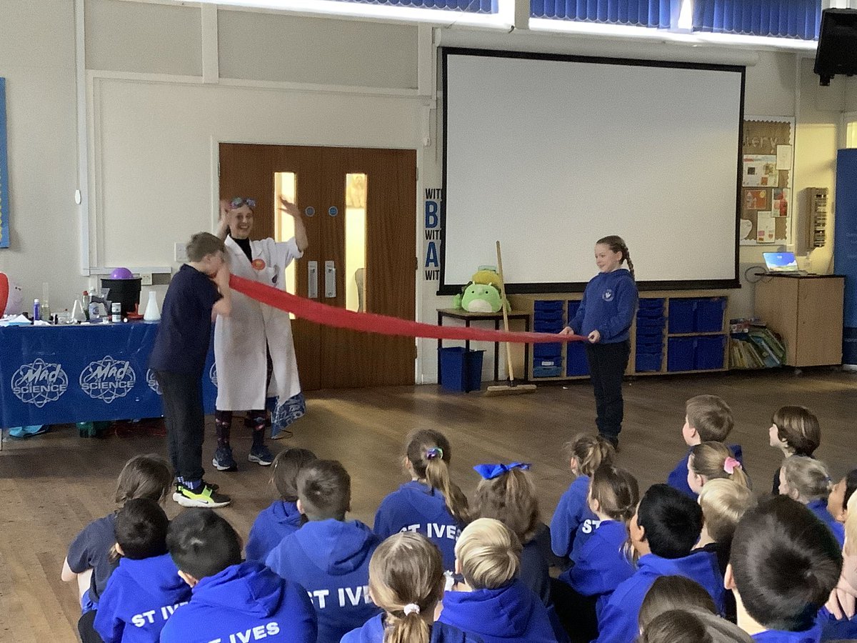 Year 6 tweet media
