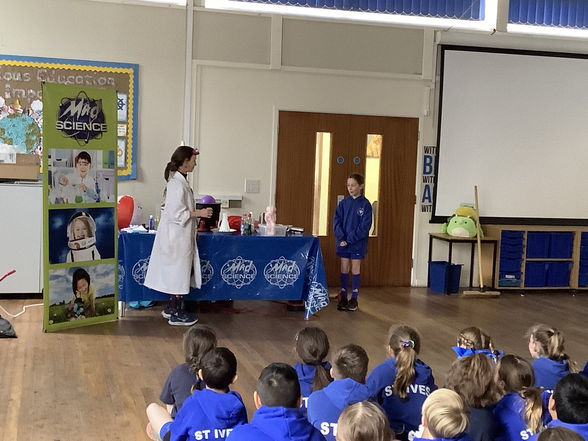 Year 6 tweet media