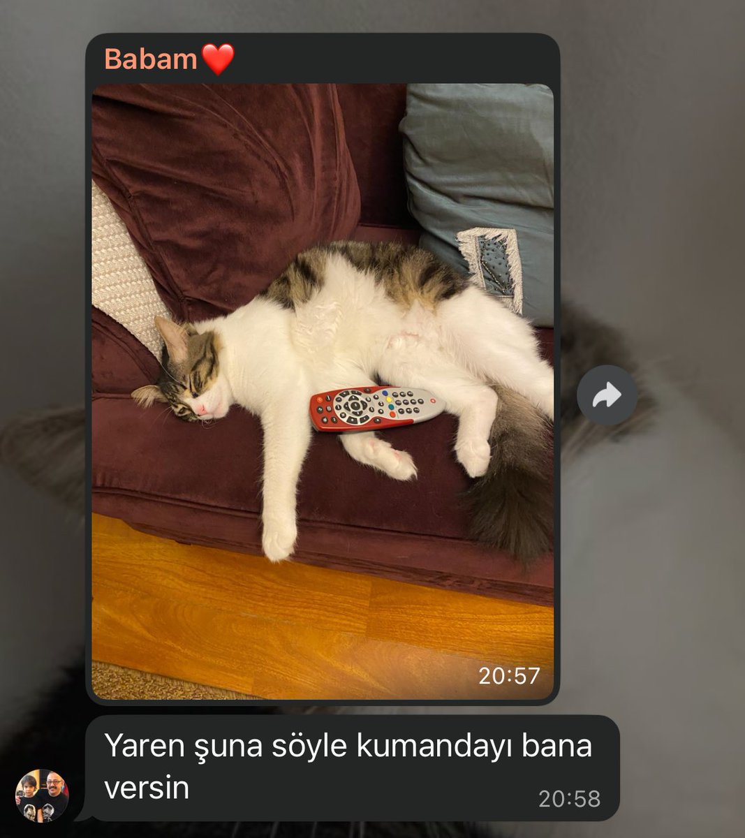 Bayan Kaos tweet media