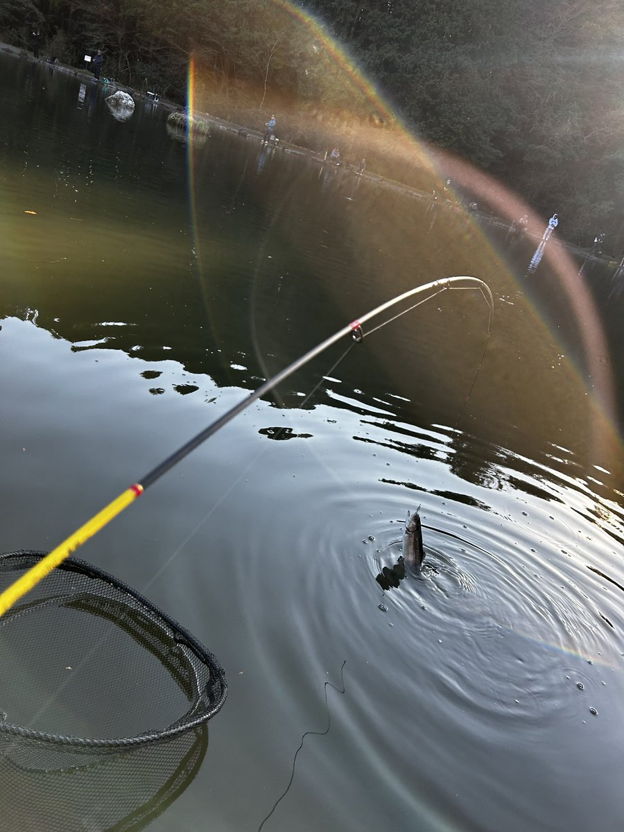 andfield365 tweet media