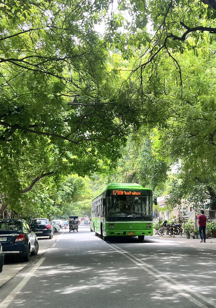 Street tree canopies can cut road surface temperatures by 10–25°C and reduce ambient air temperatures by 2–5°C. For pedestrians and bus commuters in hot cities, shade isn’t cosmetic urbanism; it’s critical climate infrastructure🌳🚌. 

📍Rohini, Delhi